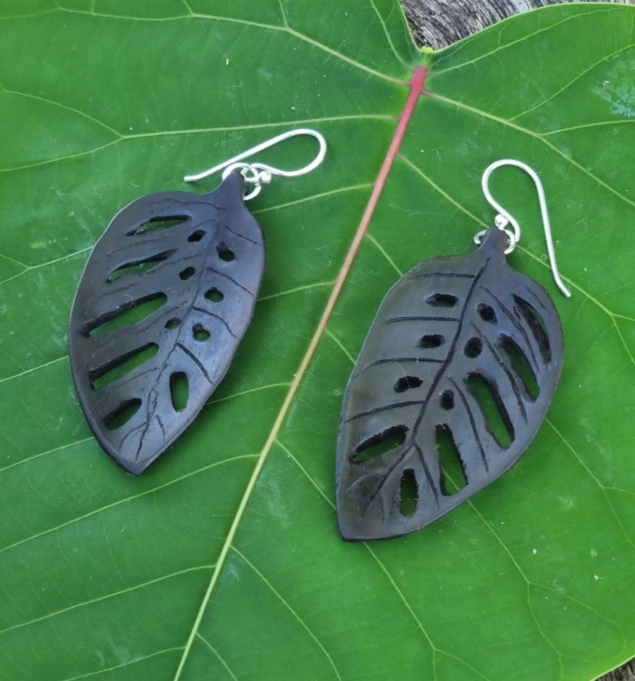Leaf Earrings - Monstera Adansonii