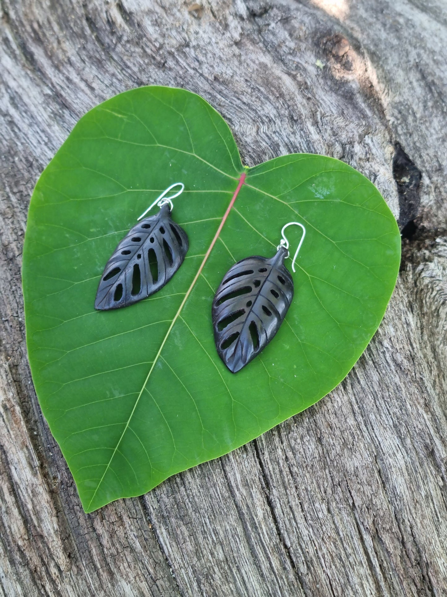 Leaf Earrings - Monstera Adansonii