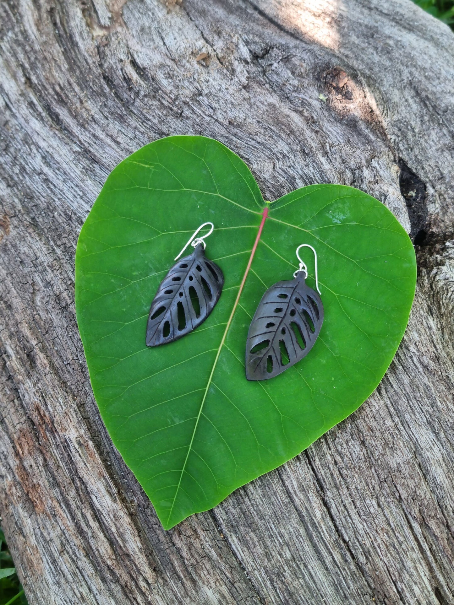 Leaf Earrings - Monstera Adansonii