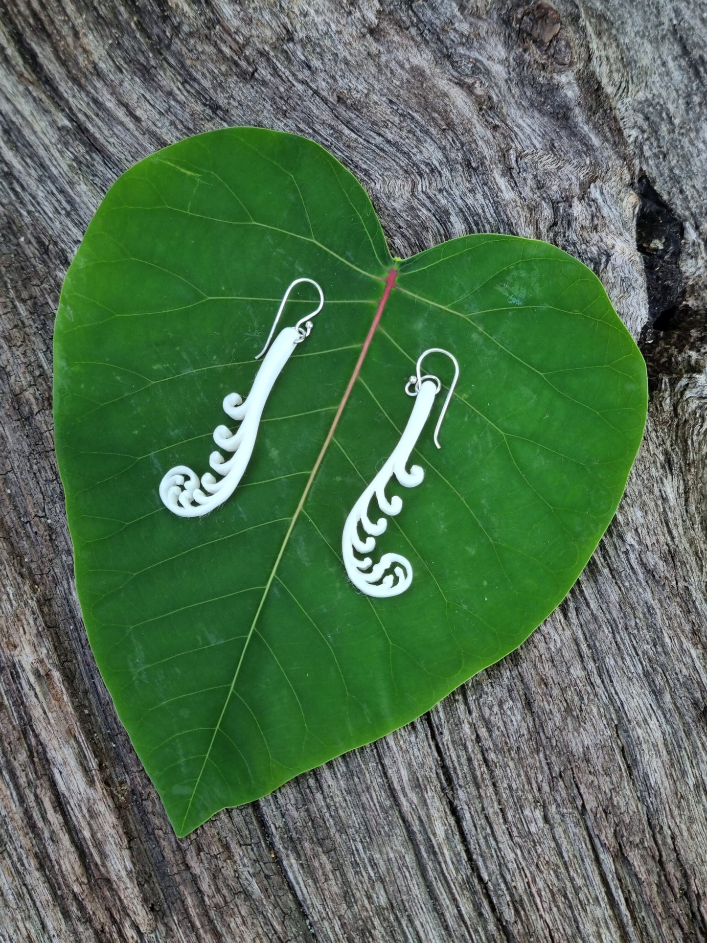 White Fern Frond - Unfurling Frond Earrings - Fern Earring