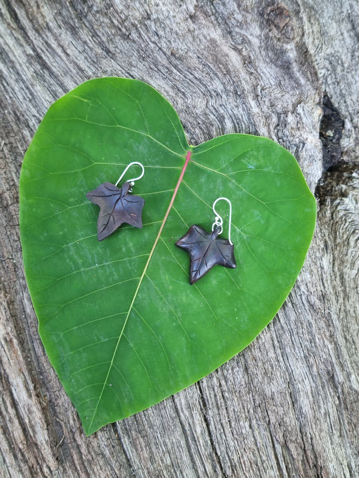Ivy Leaf Earrings - Little Leaf Earrings - Stirling Silver Hooks