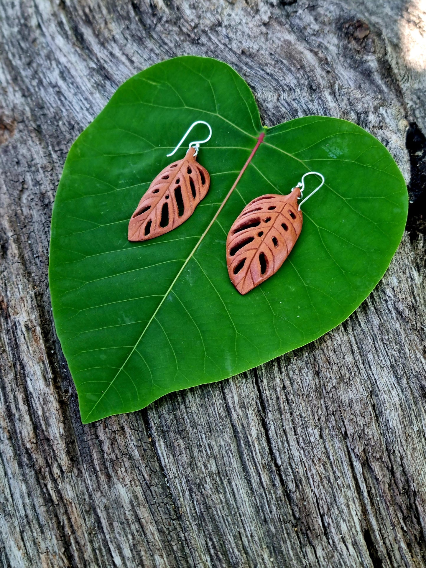 Leaf Earrings - Monstera Adansonii