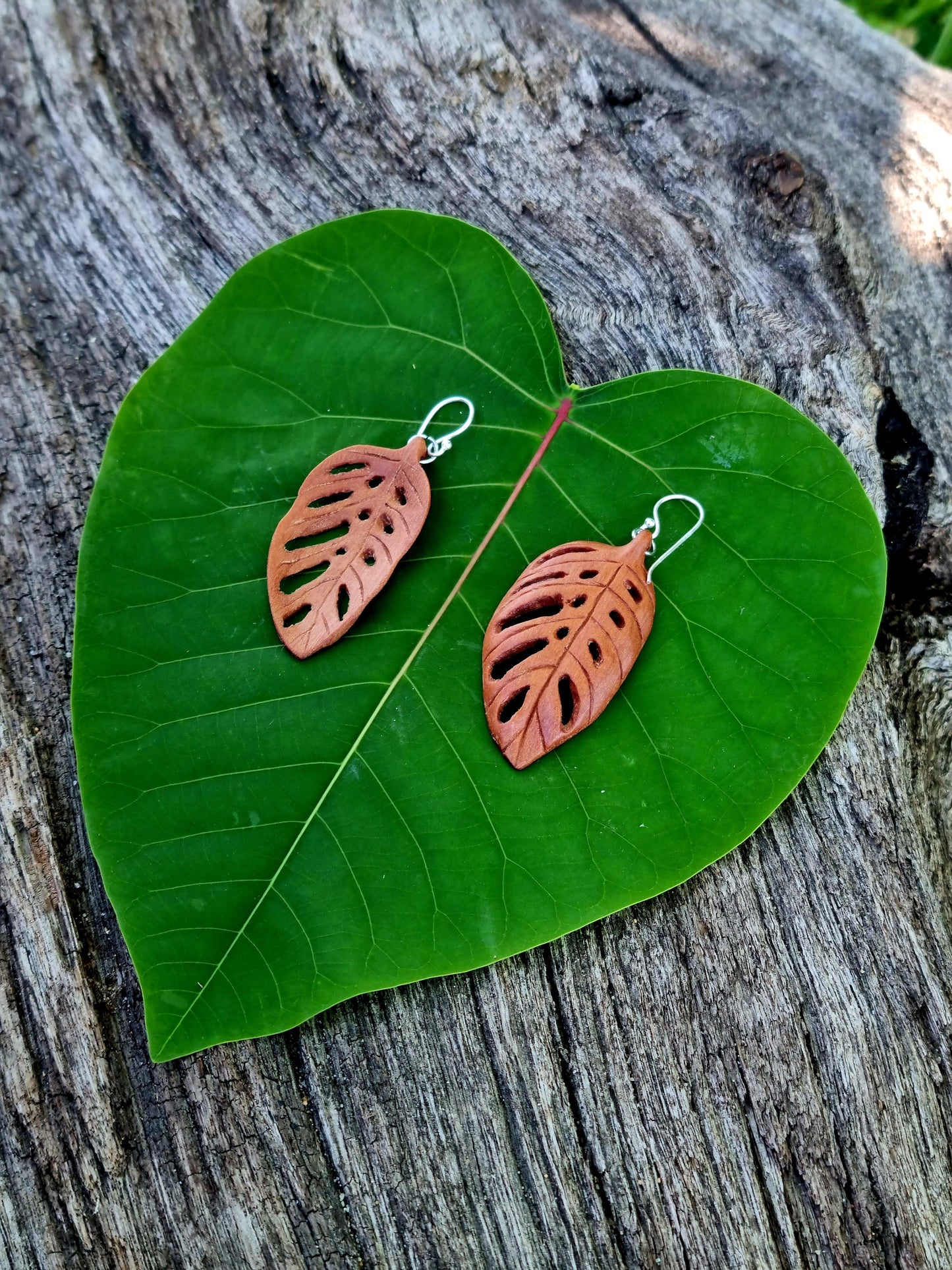 Leaf Earrings - Monstera Adansonii